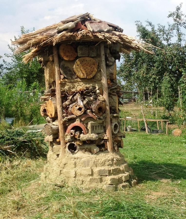 Biohof Am Turawa-See Szczedrzyk Exterior foto