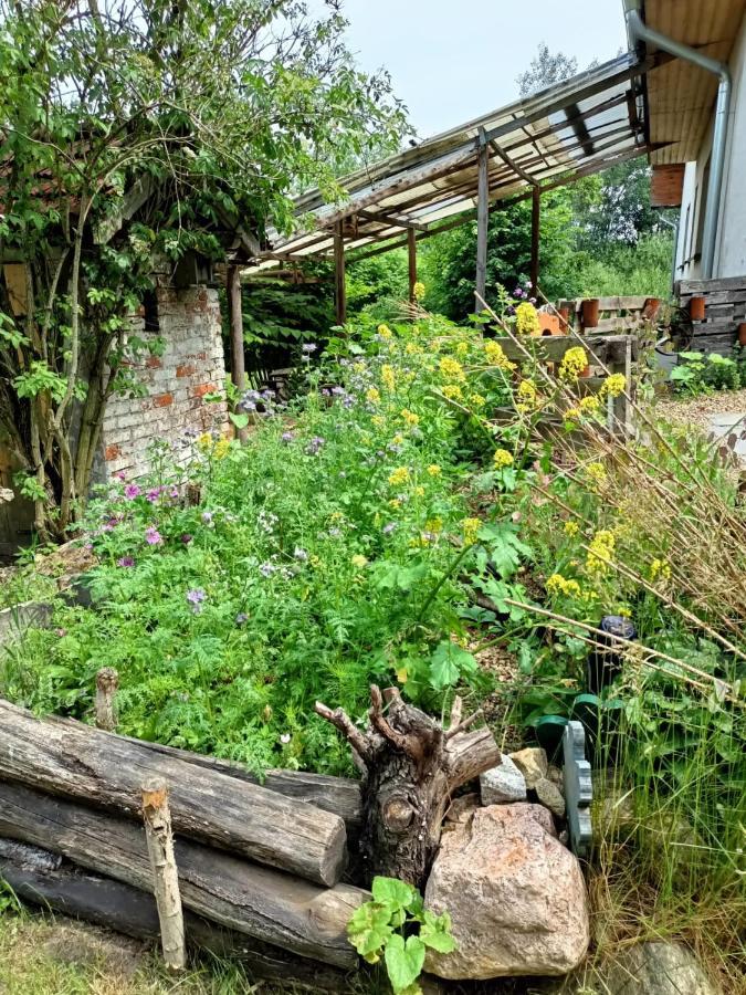 Biohof Am Turawa-See Szczedrzyk Exterior foto